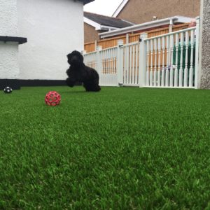 Artificial Lawn in Rhyl