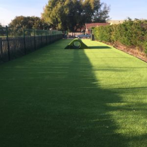 RSPCA Wallasey, Artificial Grass Dog Run