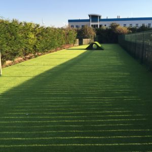 Synthetic Turf Dog Training Area